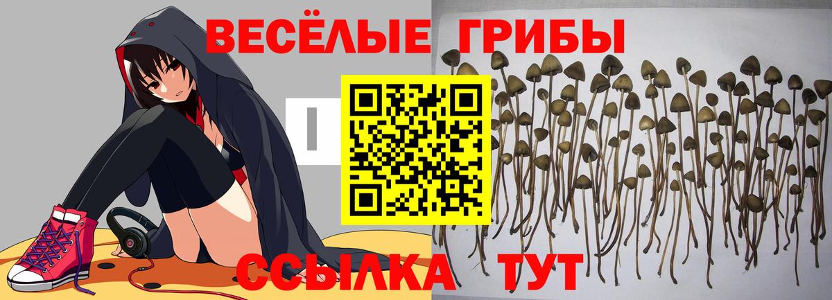 Заречный  Псилоцибиновые грибы Magic Shrooms  Вход с VPN 